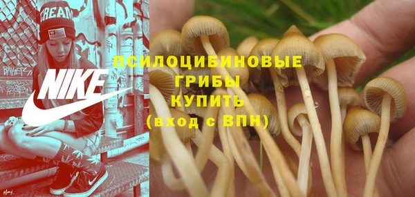 скорость Алзамай