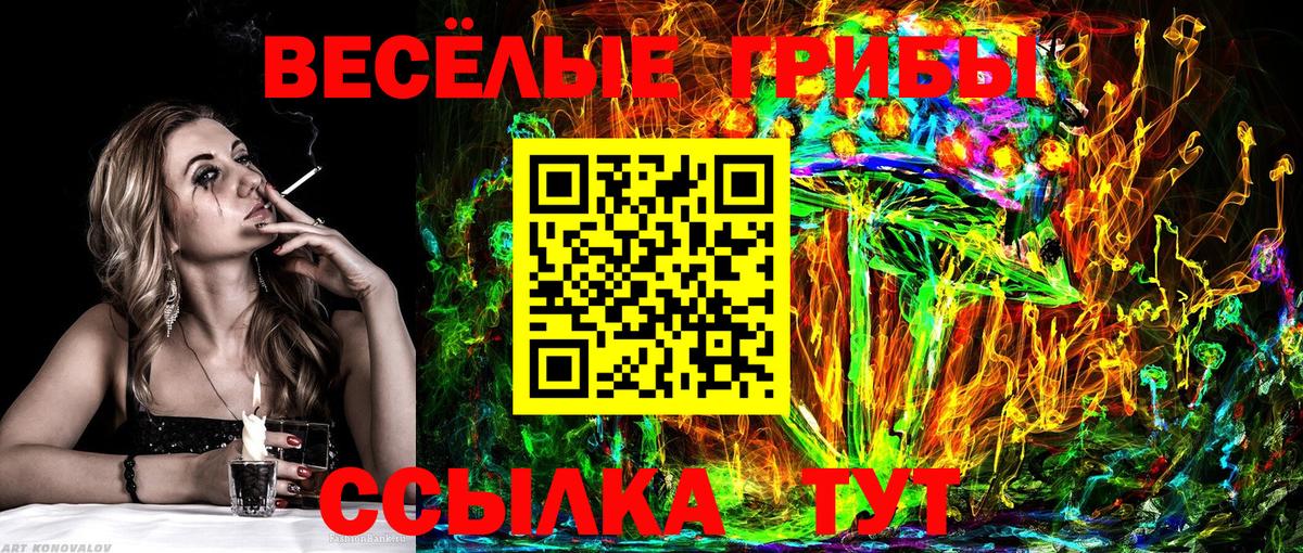 Галлюциногенные грибы Psilocybe Жуковский