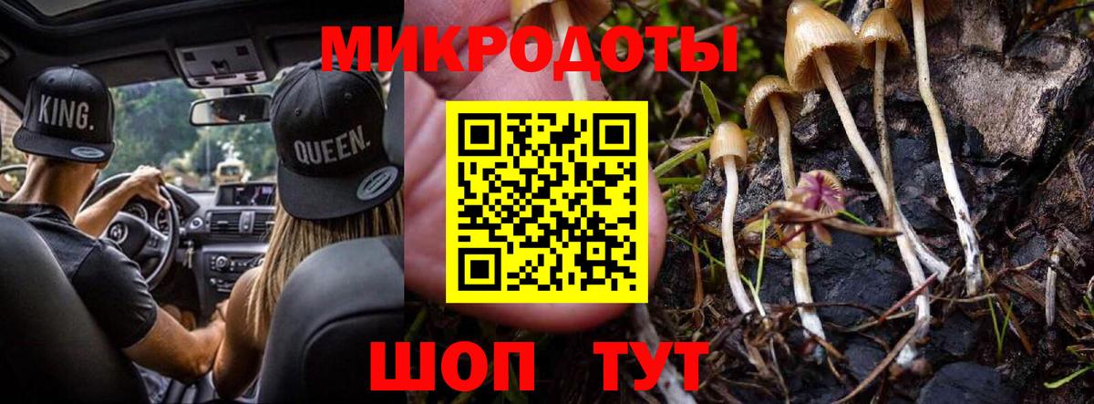 Псилоцибиновые грибы Psilocybe  Галлюциногенные грибы мицелий  Жуковский  Вход с VPN 