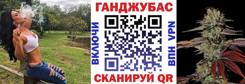 купить закладку  Жуковский  Конопля планчик 